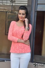 Diksha Panth at Kavvintha Movie Press Meet